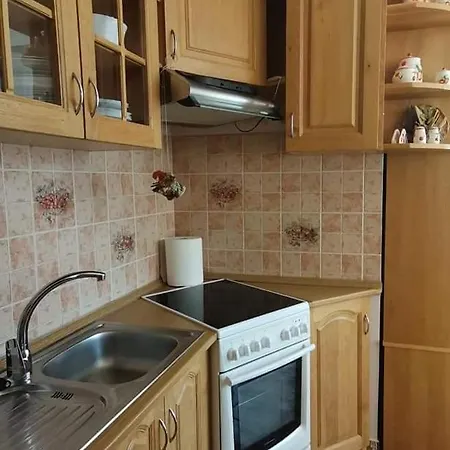 Viola Vendeghaz Holiday home *